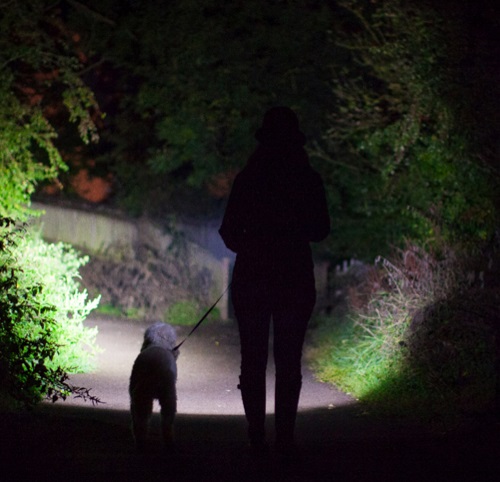 Rechargeable Head Torch for Dog Walking